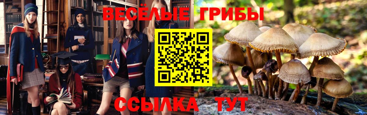 Галлюциногенные грибы мицелий  Вход с VPN  Галлюциногенные грибы мухоморы  Кандалакша 